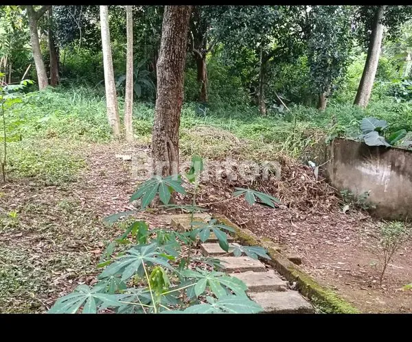 image TANAH KOSONG SIAP DIBANGUN KOST KOST AN DAERAH CIUMBULEUIT ,KOTA BANDUNG JAWA BARAT (4)