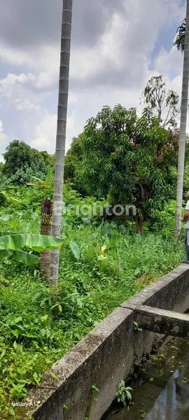 image TANAH STRATEGIS 1425M² PUSAT KOTA PEKANBARU, SHM (4)