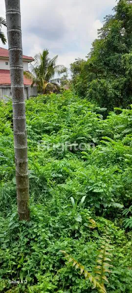 image TANAH STRATEGIS 1425M² PUSAT KOTA PEKANBARU, SHM (5)