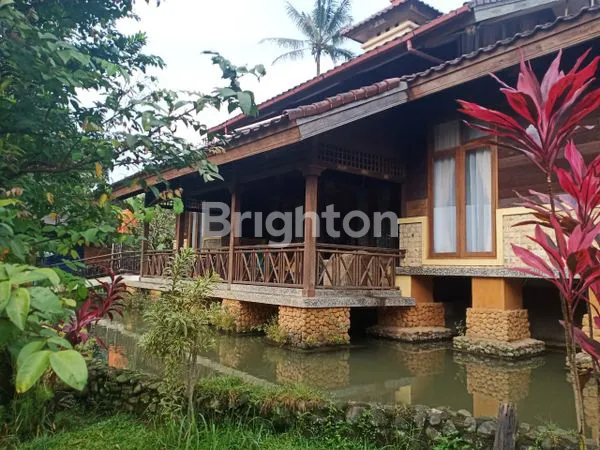image VILLA MEWAH CIJERUK DENGAN VIEW PUNCAK & 21 KOLAM IKAN (3)
