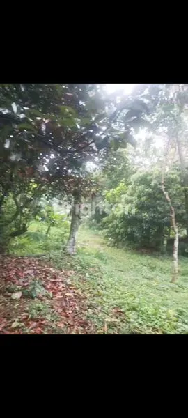 image TANAH SELATAN JAKARTA COCOK DIJADIKAN CLUSTER (3)