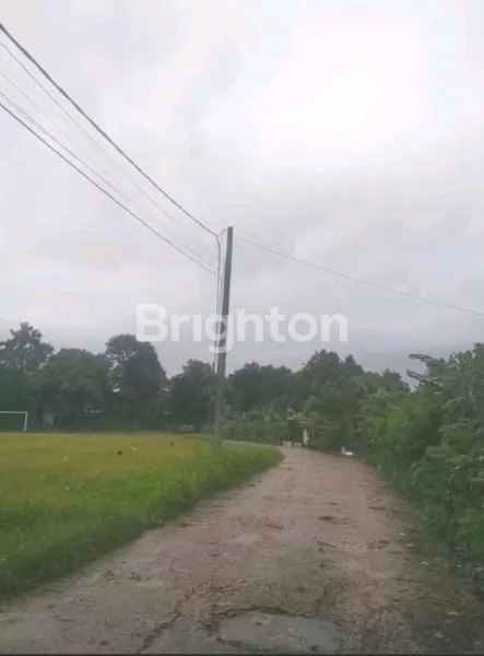 image TANAH SELATAN JAKARTA COCOK DIJADIKAN CLUSTER (4)