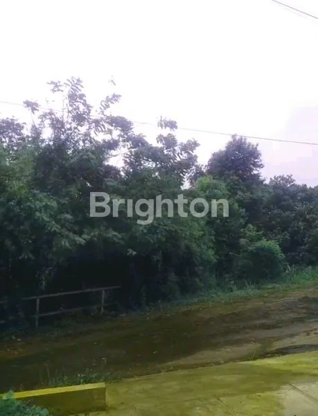 image TANAH SELATAN JAKARTA COCOK DIJADIKAN CLUSTER (6)