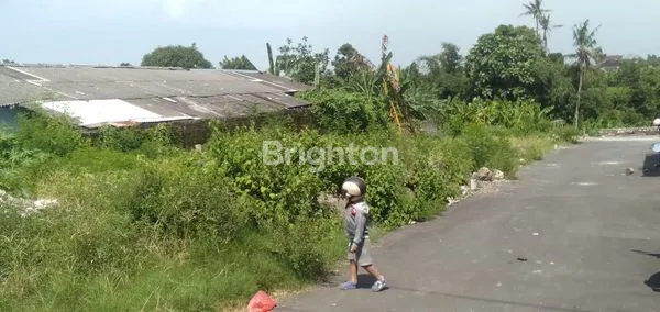 image DIJUAL TANAH DI SEMPIDI (3)