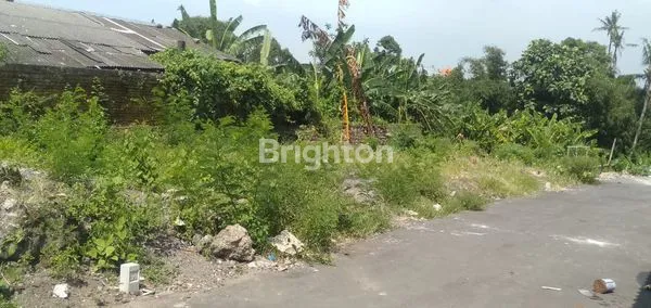 image DIJUAL TANAH DI SEMPIDI (1)