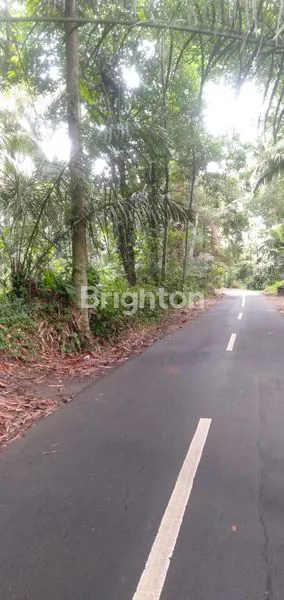 image TANAH DI ABIANSEMAL (3)