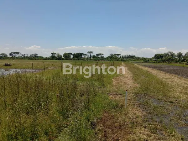 image DI JUAL TANAH (2)