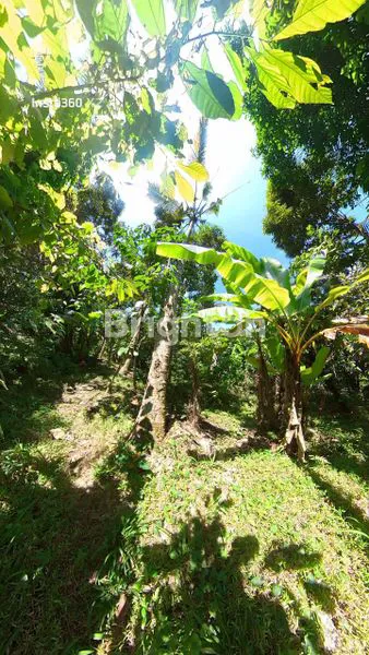 image TANAH SELUAS 9500M² DI SELEMADEG TABANAN (1)