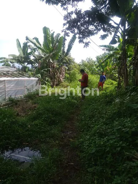 image DIJUAL MURAH TANAH KAVLING DI CIAMPEA BOGOR (5)