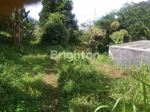 image DIJUAL MURAH TANAH KAVLING DI CIAMPEA BOGOR (2)