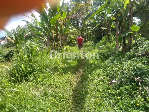 image DIJUAL MURAH TANAH KAVLING DI CIAMPEA BOGOR (3)