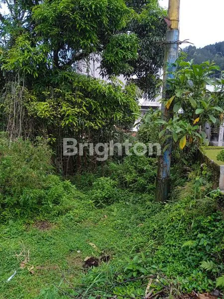 image TANAH DI LOKASI WISATA BATURADEN (4)