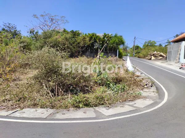 image TANAH HOOK PREMIUM KOMPLEK VILLA DI KAMPIAL JIMBARAN  (2)