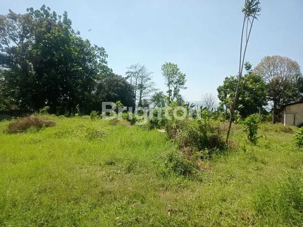 image DI JUAL TANAH PERKEBUNAN DI PONCOKUSUMO  (2)