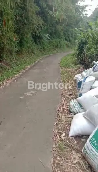 image TANAH KEBUN 4.3 HA VIEW PEGUNUNGAN, SHM DI BOGOR BARAT (1)