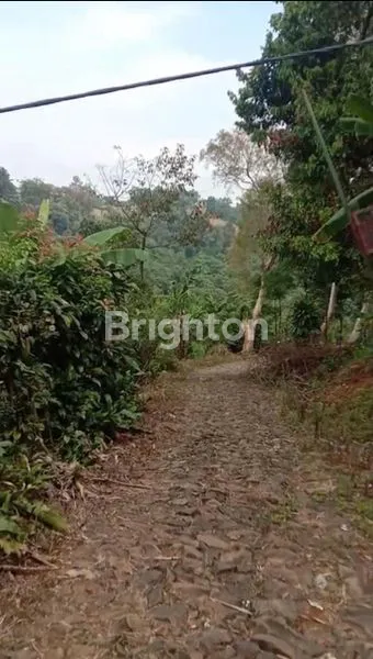 image TANAH KEBUN 4.3 HA VIEW PEGUNUNGAN, SHM DI BOGOR BARAT (4)