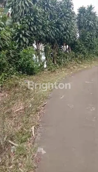 image TANAH KEBUN 4.3 HA VIEW PEGUNUNGAN, SHM DI BOGOR BARAT (2)