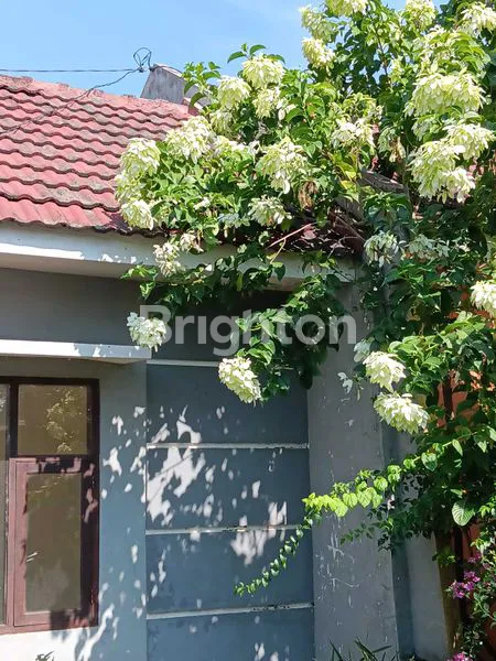 image RUMAH SHM 70/103 LOKASI PREMIUM DEKAT FASILITAS LENGKAP (2)