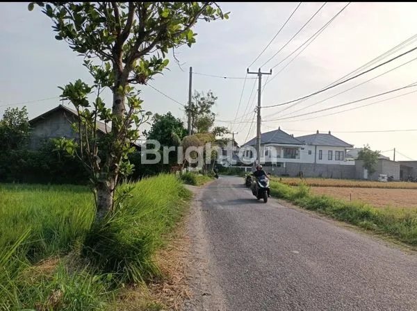 image DISEWAKAN LAHAN STRATEGIS DEKAT PANTAI PERERENAN (2)