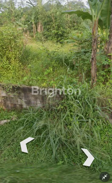 image TANAH SIAP BANGUN 160M² SHM DI TAJUR HALANG BOGOR (3)