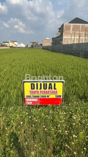 image DIJUAL SAWAH TRATEGIS (1)