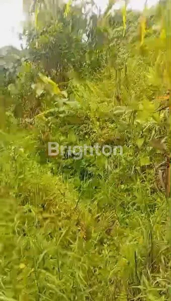 image TANAH LUAS 15X35M DI KAWASAN MUGIREJO, INVESTASI CERDAS (1)