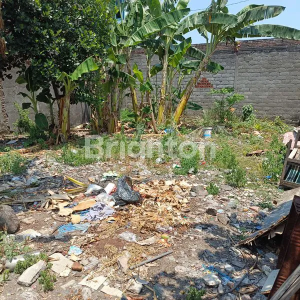 image DIJUAL TANAH DEKAT JL. JAYA WIJAYA (2)