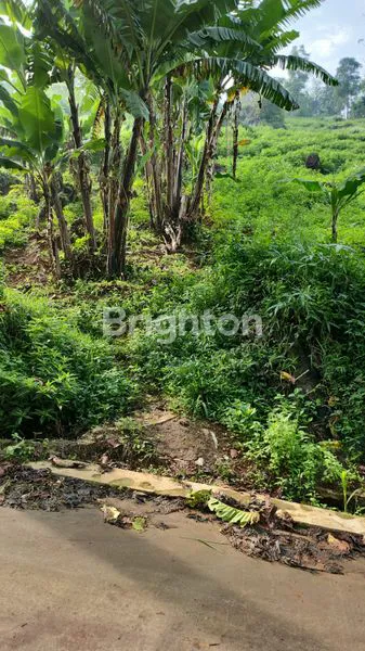 TANAH LUAS DI MADALAMEKAR CIMENYAN