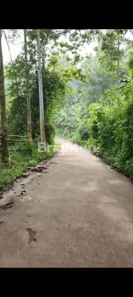 image TANAH LUAS DI MADALAMEKAR CIMENYAN (3)