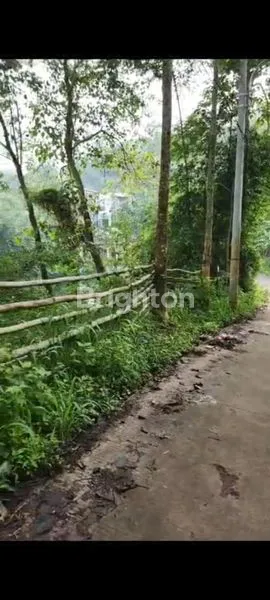 image TANAH LUAS DI MADALAMEKAR CIMENYAN (4)