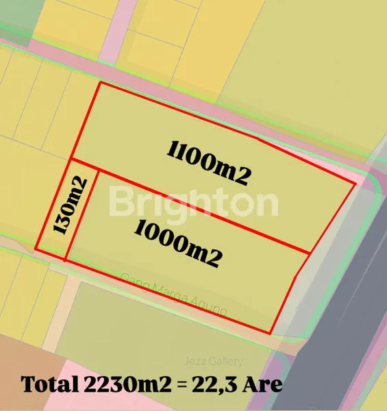 image TANAH PREMIUM 2230M² DI PUSAT BISNIS DENPASAR, SHM LENGKAP (5)
