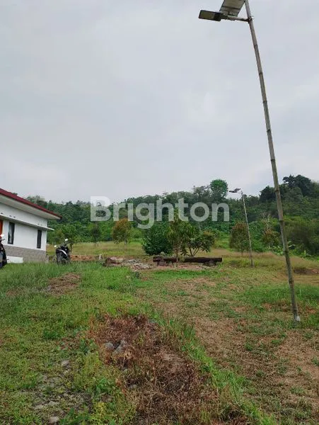 image KEBUN DURIAN 8 HEKTAR + VILLA DI BOGOR TIMUR, SHM (2)