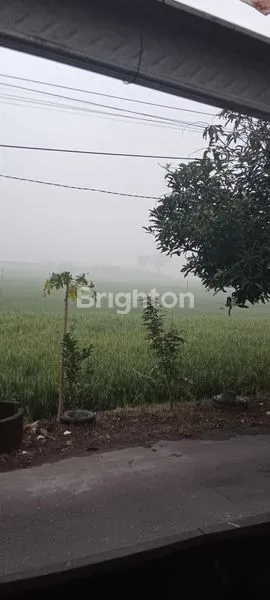 image LAHAN LUAS 2.170M², SHM, LOKASI STRATEGIS SUKOHARJO (4)