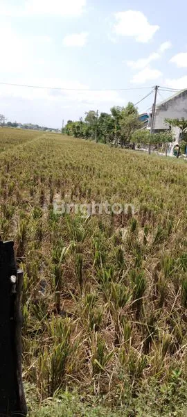 image LAHAN LUAS 2.170M², SHM, LOKASI STRATEGIS SUKOHARJO (1)