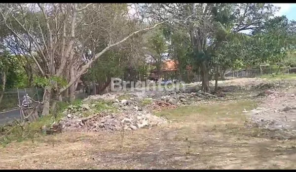 image WOW LANGKA - INVESTASI LAHAN DENGAN GARIS PANTAI JIMBARAN BALI (4)