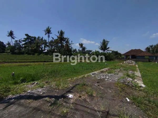 image DIJUAL TANAH KAVLING SHM – SIAP BANGUN, JARAK 10 MENIT DARI KEDIRI TABANAN (5)
