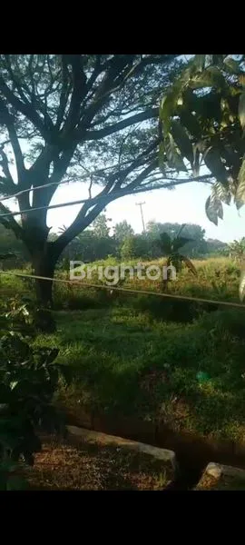 image  TANAH GUNUNG PUTRI BOGOR (4)