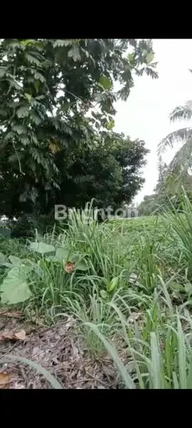 TANAH GUNUNG PUTRI BOGOR