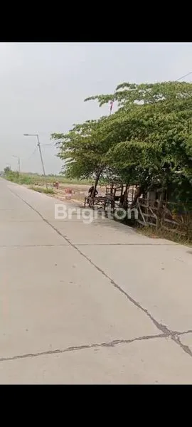 image TANAH INDUSTRI PREMIUM 1,7 HEKTAR DI JETIS, DEKAT TOL MOJOKERTO (3)