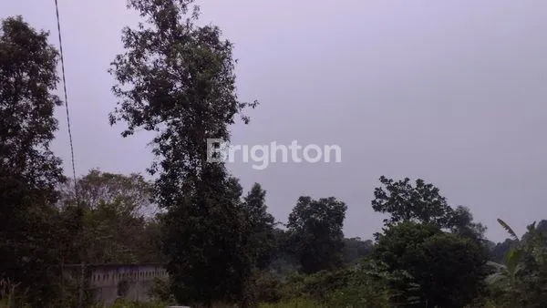 image RUMAH TUA HITUNG TANAH DI KAMPUNG PABUARAN,CILAKU ,TENJO, BOGOR (4)