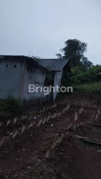 image RUMAH TUA HITUNG TANAH DI KAMPUNG PABUARAN,CILAKU ,TENJO, BOGOR (2)