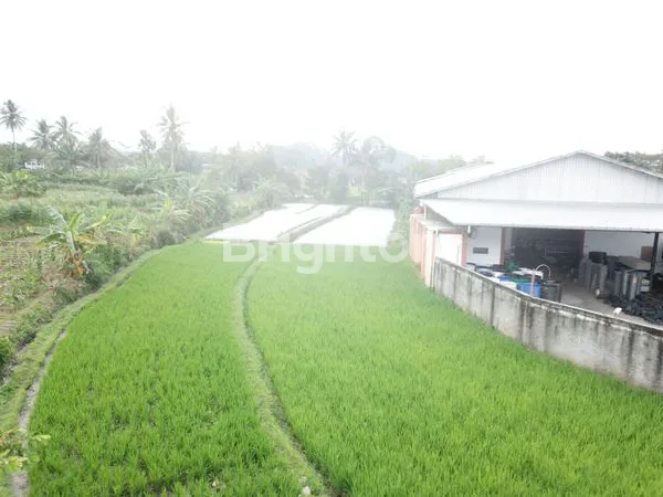 TANAH DI TEMANGGUNG JAWA TENGAH
