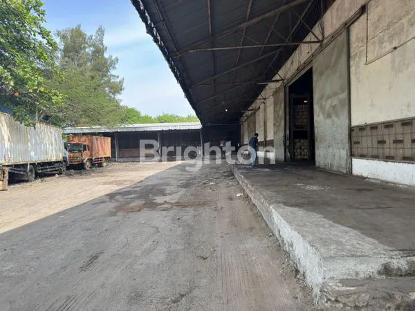 image GUDANG INDUSTRI SEMPER SHM 12355M² DEKAT TANJUNG PRIOK (4)