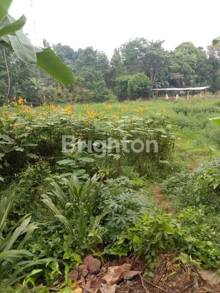 image DIJUAL TANAH DI JONGGOL BOGOR (5)