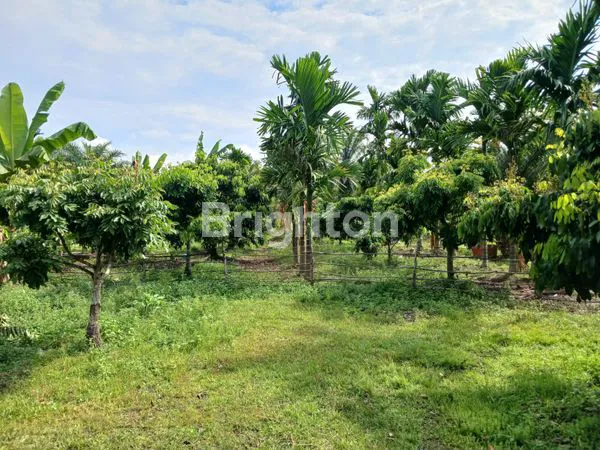 image TANAH GARUDA SAKTI KM 8 (2)