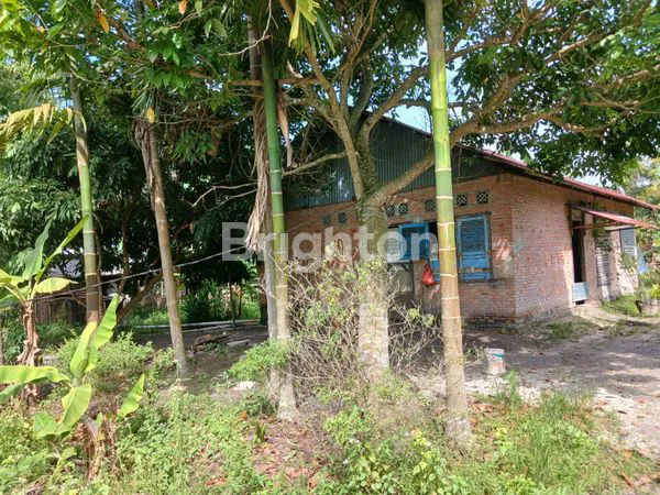 image TANAH GARUDA SAKTI KM 8 (4)