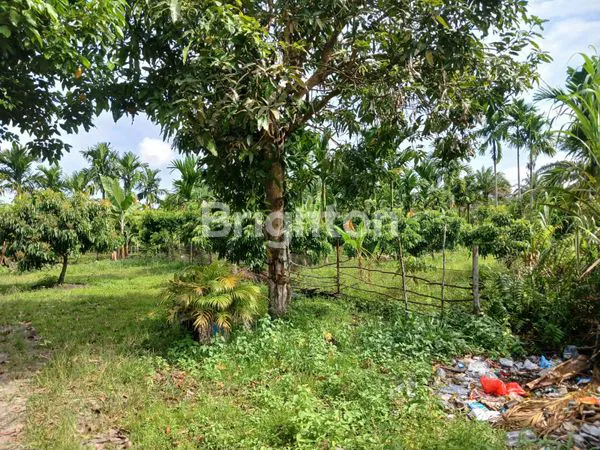 image TANAH GARUDA SAKTI KM 8 (3)