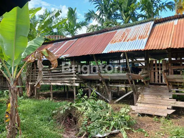 image TANAH GARUDA SAKTI KM 8 (6)