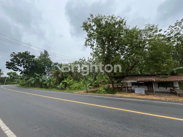 image TANAH STRATEGIS 51 HA DEKAT TOL SIDOMULYO LAMPUNG SELATAN (1)