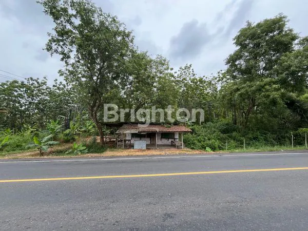 image TANAH STRATEGIS 51 HA DEKAT TOL SIDOMULYO LAMPUNG SELATAN (2)